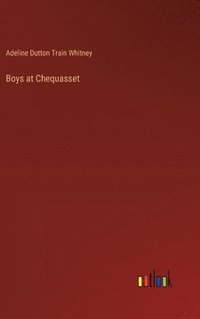 bokomslag Boys at Chequasset