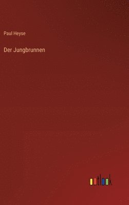 bokomslag Der Jungbrunnen