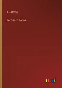 bokomslag Johannes Calvin