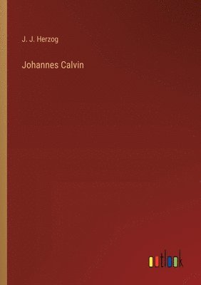 Johannes Calvin 1