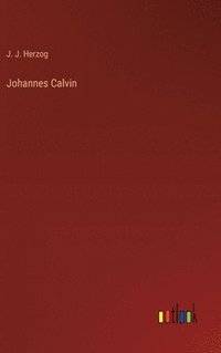 bokomslag Johannes Calvin