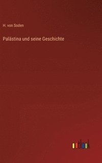 bokomslag Palstina und seine Geschichte