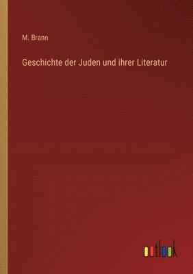 bokomslag Geschichte der Juden und ihrer Literatur