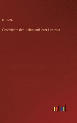 bokomslag Geschichte der Juden und ihrer Literatur