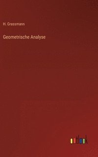 bokomslag Geometrische Analyse