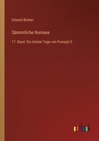 bokomslag Sämmtliche Romane