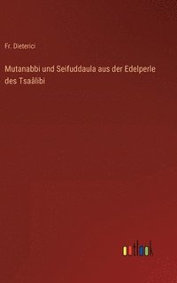 bokomslag Mutanabbi und Seifuddaula aus der Edelperle des Tsalibi