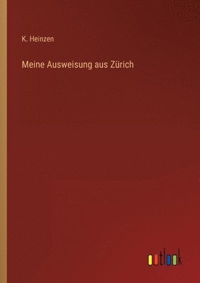 bokomslag Meine Ausweisung aus Zürich