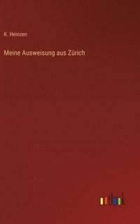 bokomslag Meine Ausweisung aus Zürich