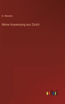 bokomslag Meine Ausweisung aus Zürich