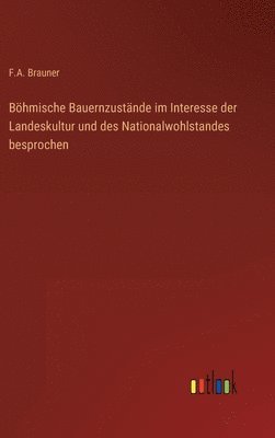 bokomslag Bhmische Bauernzustnde im Interesse der Landeskultur und des Nationalwohlstandes besprochen