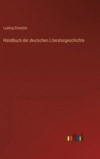 bokomslag Handbuch der deutschen Literaturgeschichte