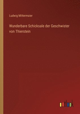 bokomslag Wunderbare Schicksale der Geschwister von Thierstein