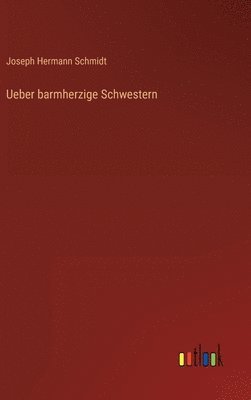 bokomslag Ueber barmherzige Schwestern