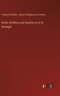 bokomslag Briefe Schillers und Goethes an A.W. Schlegel