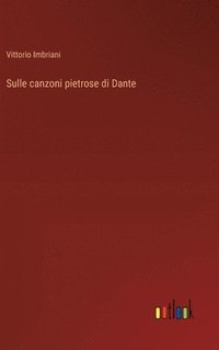 bokomslag Sulle canzoni pietrose di Dante