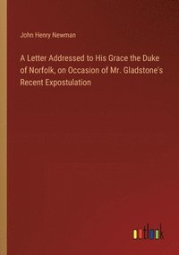 bokomslag A Letter Addressed to His Grace the Duke of Norfolk, on Occasion of Mr. Gladstone's Recent Expostulation