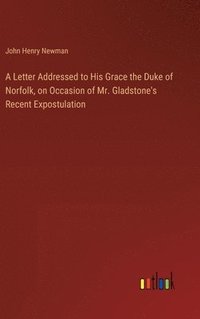 bokomslag A Letter Addressed to His Grace the Duke of Norfolk, on Occasion of Mr. Gladstone's Recent Expostulation