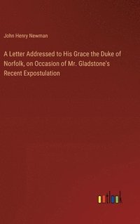 bokomslag Letter Addressed to His Grace the Duke of Norfolk, on Occasion of Mr. Gladstone's Recent Expostulation