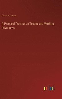 bokomslag A Practical Treatise on Testing and Working Silver Ores