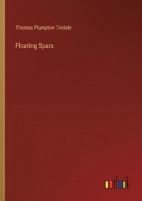 bokomslag Floating Spars