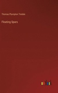 bokomslag Floating Spars