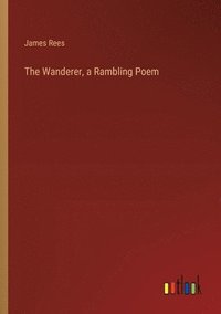 bokomslag The Wanderer, a Rambling Poem