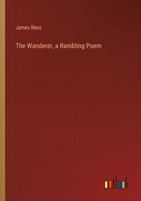 bokomslag Wanderer, a Rambling Poem