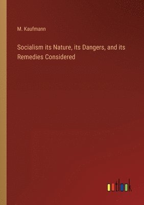 bokomslag Socialism its Nature, its Dangers, and its Remedies Considered