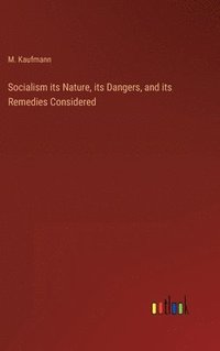 bokomslag Socialism its Nature, its Dangers, and its Remedies Considered