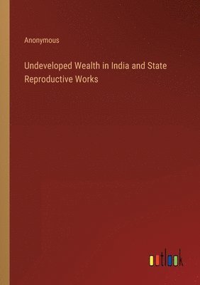 bokomslag Undeveloped Wealth in India and State Reproductive Works