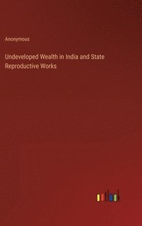 bokomslag Undeveloped Wealth in India and State Reproductive Works