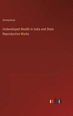 bokomslag Undeveloped Wealth in India and State Reproductive Works