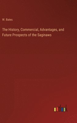 bokomslag History, Commercial, Advantages, and Future Prospects of the Saginaws