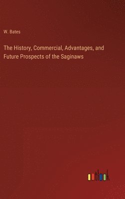 bokomslag The History, Commercial, Advantages, and Future Prospects of the Saginaws