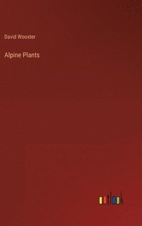 bokomslag Alpine Plants