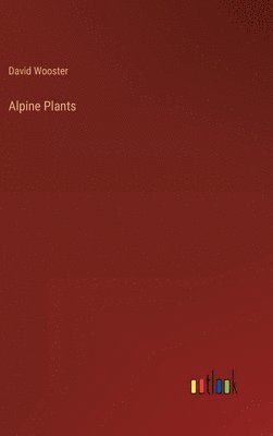 Alpine Plants