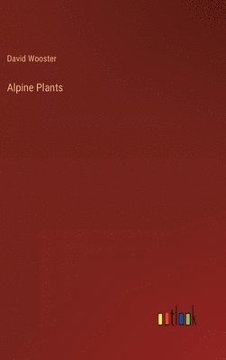 Alpine Plants 1