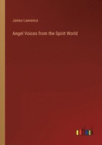 bokomslag Angel Voices from the Spirit World