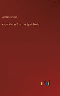 bokomslag Angel Voices from the Spirit World