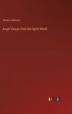bokomslag Angel Voices from the Spirit World