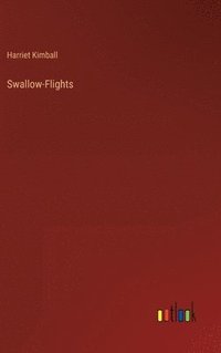 bokomslag Swallow-Flights