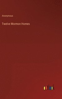 bokomslag Twelve Mormon Homes