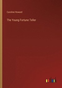 bokomslag The Young Fortune Teller