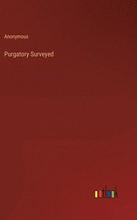 bokomslag Purgatory Surveyed