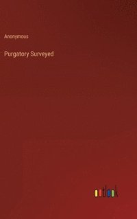 bokomslag Purgatory Surveyed