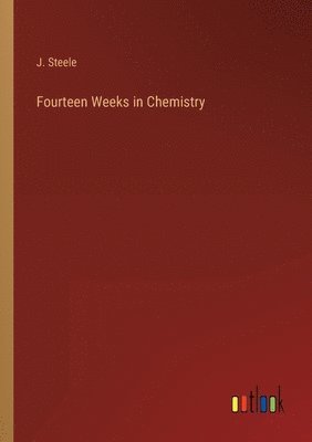 bokomslag Fourteen Weeks in Chemistry