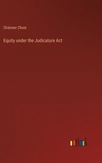 bokomslag Equity under the Judicature Act
