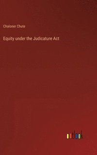 bokomslag Equity under the Judicature Act