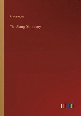 bokomslag The Slang Dictionary